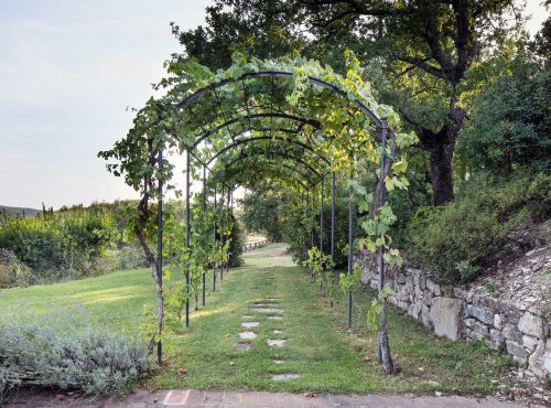 pergole e gazebo in ferro