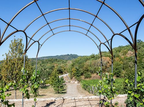 pergole e gazebo in ferro